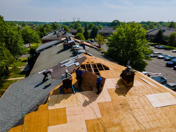 Quick and Trustworthy Emergency Roof Repair Services in Loveland Park, OH